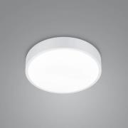 LED-kattovalaisin Waco, CCT, Ø 31cm, matta valkoinen