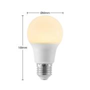 LED-lamppu E27 A60 8W 3 000 K opaali, 2 kpl