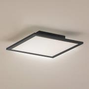 Lindby LED-paneeli Enhife, musta, 29,5 x 29,5 cm, alumiini