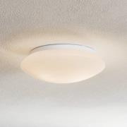 Gjovik kattovalaisin, opaali lasi, Ø 30 cm