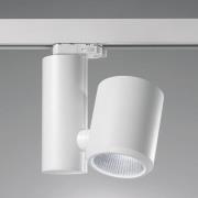 Egger DLS LED-kiskovalaisin Kent, valkoinen, 4 000 K 26°