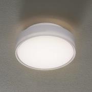 Hatton-LED-kattovalaisin IP65, 25 cm