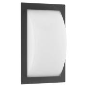 Ivett ulkoseinävalaisin, antrasiitti, E27, liiketunnistin