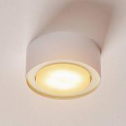 Kattospotti Flea teräksestä, valkoinen