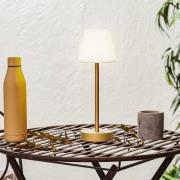 Newgarden Lola Slim -LED-pöytälamppu, messinki