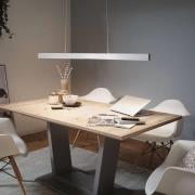 Paulmann Aptare ZigBee LED-riippuvalaisin, alumiini