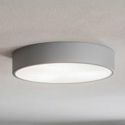 Kattovalaisin Cleo 400, harmaa, anturi, IP20, Ø 40 cm, metalli