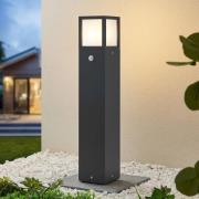 Lucande Dewari polkuvalaisin, liiketunnistin, E27, 65cm, IP54