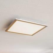 Prios Dinvoris LED-paneeli, CCT, 40 cm x 40 cm