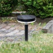 Prios Glenios LED-aurinkolamppu maapiikillä Prios Glenios LED-aurinkol...