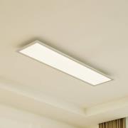Arcchio LED-paneeli Lyndra, 120 cm, hopea, alumiini, himmennettävä, CC...