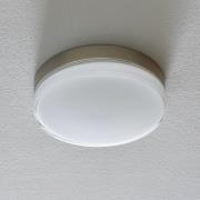 BEGA 12128 LED-kattovalaisin DALI 930 teräs 26cm