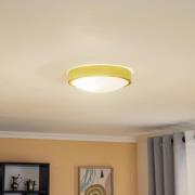 Kattovalaisin Jaris, kaareva lasi, Ø 26 cm, kulta