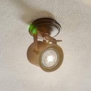 Kattokohdevalo Canico, 1-lamppuinen, musta