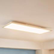 Arcchio Enja LED-paneeli, 79,5 cm x 29,5 cm