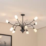 Kattovalaisin Gloriosa, lasi, musta, 10-lamppuinen