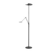 LED-lattiavalaisin New Sapporo, musta, 183 cm metalli Himmennin CCT