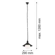 Ulkoriippuvalaisin Enduro, musta, teräs, lasi, IP44, E27