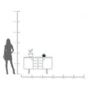 KARE koristeellinen laatikko Kameleontti, korkeus 20 cm, tummanvihreä,...