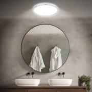 Kylpyhuoneen LED-kattolamppu Pulap, Ø 42 cm, kromivärinen/valkoinen me...