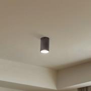 Downlight Top, yksiliekkinen, ruskea