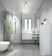 Helestra LED-peilivalaisin LOOM 2, pituus 120 cm, IP44, CCT