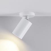 CAN TILT kattospotti, valkoinen, Ø 8 cm, 1-lamppuinen, metalli, GU10