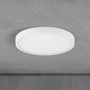 LED-kattovalaisin Disc, valkoinen Ø 24 cm, CCT, metalli/muovi