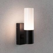 Paulmann Tralia ulkoseinävalaisin, antrasiitti, korkeus 25 cm IP44