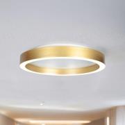 LED-kattovalaisin Ringlux, kullanvärinen, Ø 30 cm, metalli, 2700 K