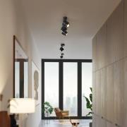 LED-spotti BRUSH, musta, 50 cm, 3-lamppuinen, metalli, himmennettävä, ...