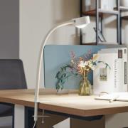 Lindby ruuvikiinnitteinen valaisin Jyla, mattavalkoinen, GX53, joustav...