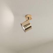 Kattospotti Chloe, kääntyvä, 1-lamppuinen, messinkivärinen teräs