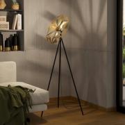 Castanuelo-lattiavalo, musta/kulta