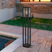 Polkuvalaisin Alamonte 3, musta