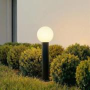 Lindby Dangan-pollarivalaisin, musta/valkoinen, korkeus 60 cm, lasi