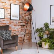 Lattiavalo Chester, musta/kupari