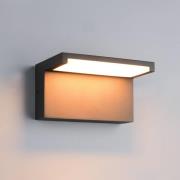 LED-ulkoseinälamppu Ravi, antrasiitti, leveys 18 cm, metalli, IP65
