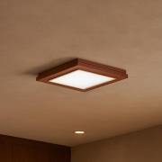 Kattovalaisin Tally, leveys 32 cm, terrakotta, puu, E27