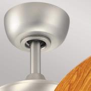 Canfield 30 kattotuuletin, harjattua nikkeliä