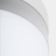 LEDS-C4 LED-kattovalaisin Spark Single, DALI, lasi, musta