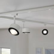 Paulman URail LED-kohdevalaisin Aldan, signaalivalkoinen, White Switch