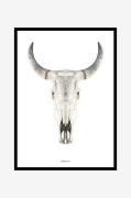 Taulu Cow skull