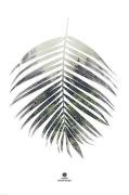 Juliste Palm leaf