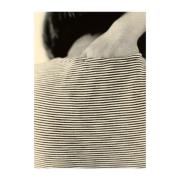 Paper Collective Striped Shirt juliste 50 x 70 cm