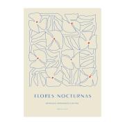 Paper Collective Flores Nocturnas 01 -juliste 30 x 40 cm