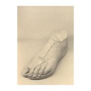 Paper Collective The Foot -juliste 30 x 40 cm