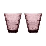 Iittala Kastehelmi juomalasi 30 cl 2 kpl Kanerva