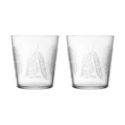 Iittala Taika Sato juomalasi 38 cl 2-pakkaus Kirkas