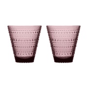 Iittala Kastehelmi juomalasi 30 cl 2 kpl Kanerva